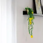 Apartment M B Homes Schlatt 1