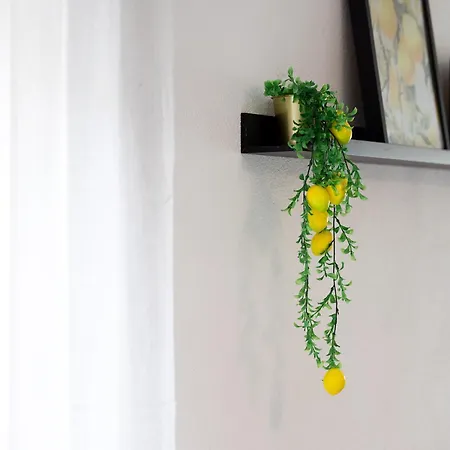 M B Homes Schlatt 1 アパート *